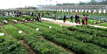 中外5765个农作物品种齐聚广东种业博览会，共绘现代农业新图景