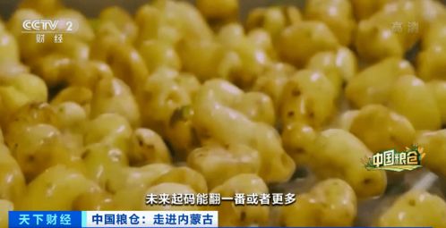 种子革命 常见作物身价倍增，百亿产业背后的科技密码